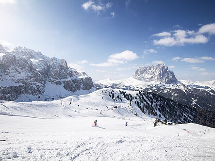 Winter Holiday