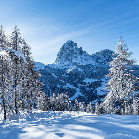Skifahren à la carte